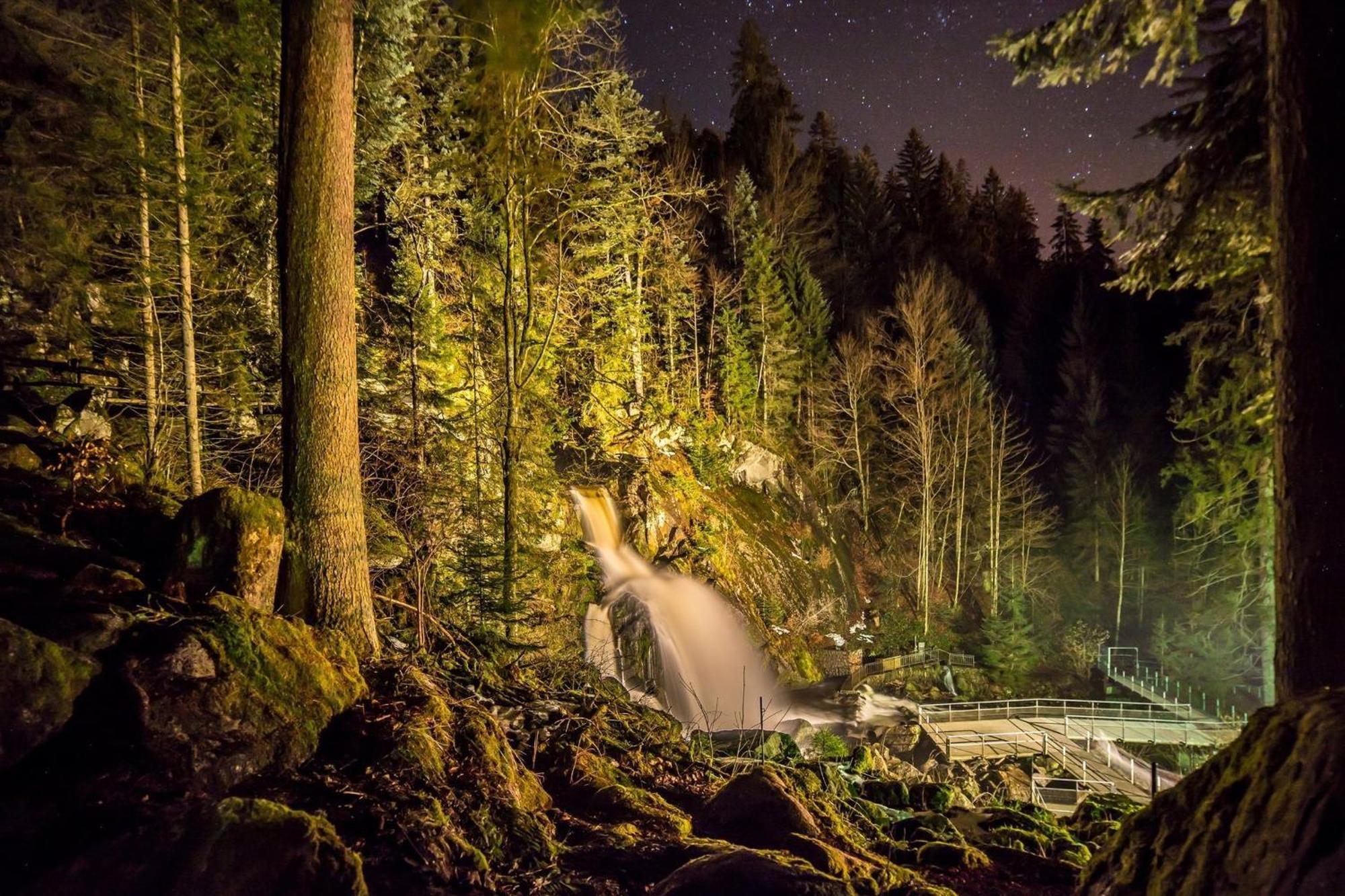 Ferienhaus Am Roesslewald Breitnau Luaran gambar